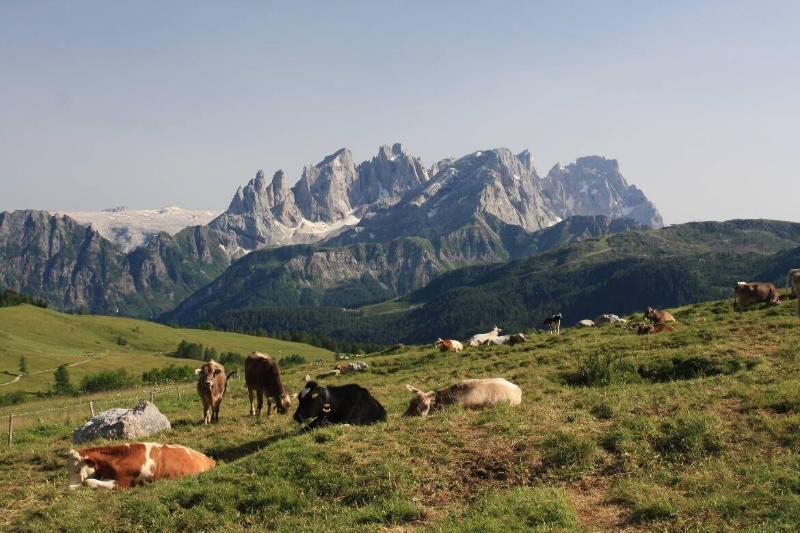 Hotel Stella Alpina Falcade Kültér fotó
