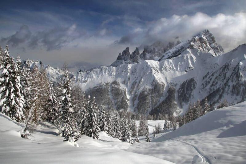 Hotel Stella Alpina Falcade Kültér fotó