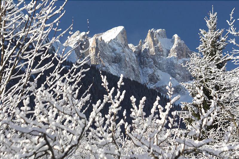 Hotel Stella Alpina Falcade Kültér fotó