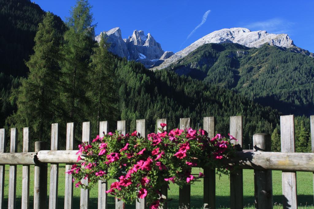 Hotel Stella Alpina Falcade Kültér fotó