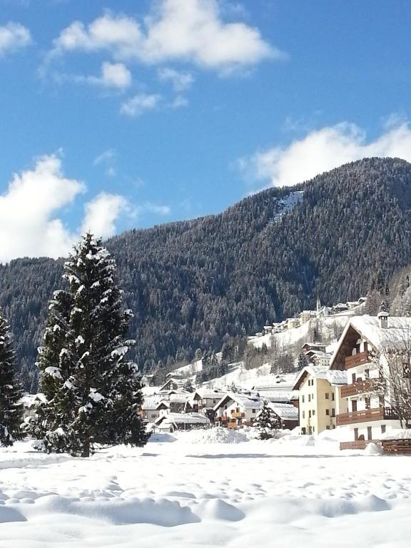 Hotel Stella Alpina Falcade Kültér fotó